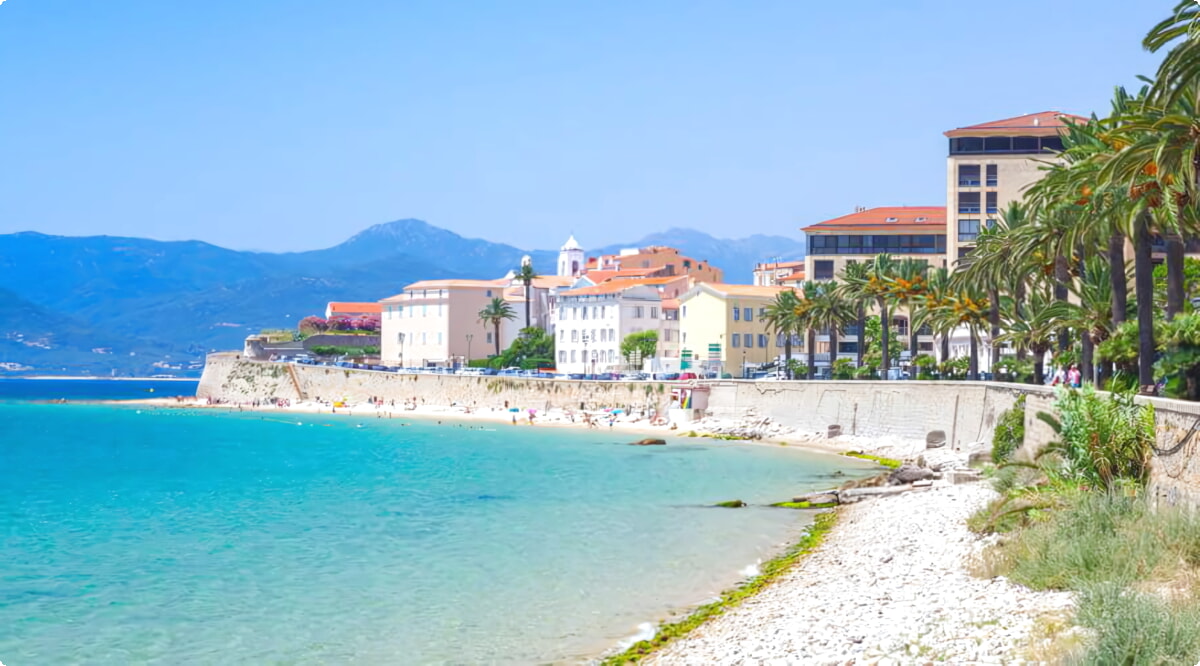 ¿Cuáles son las opciones de vehículos más populares en Ajaccio?