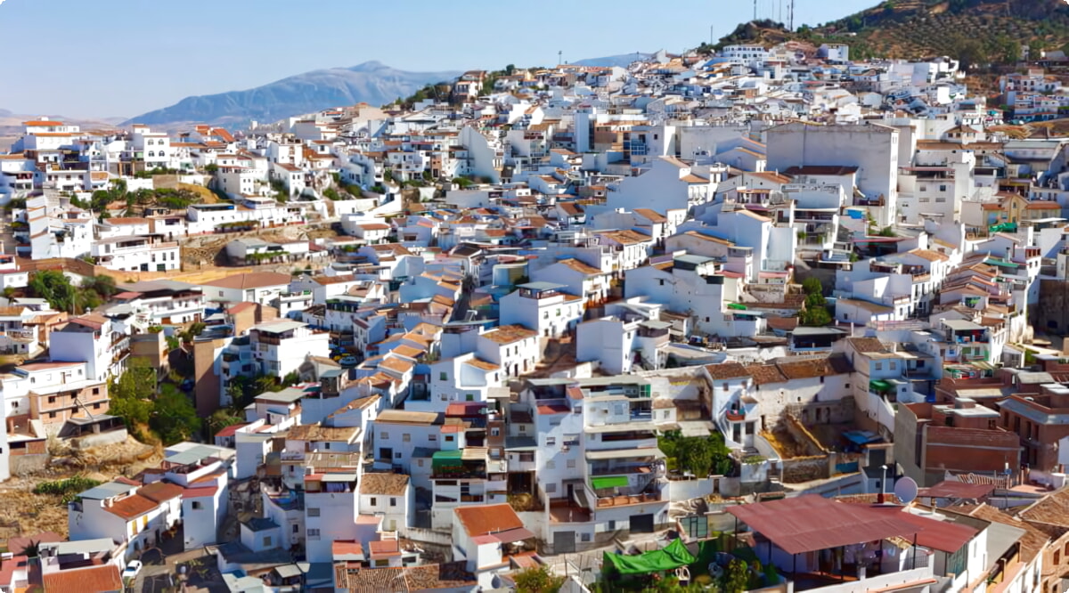 Nuestros servicios de alquiler de coches ofrecen una diversa selección de vehículos en Álora.